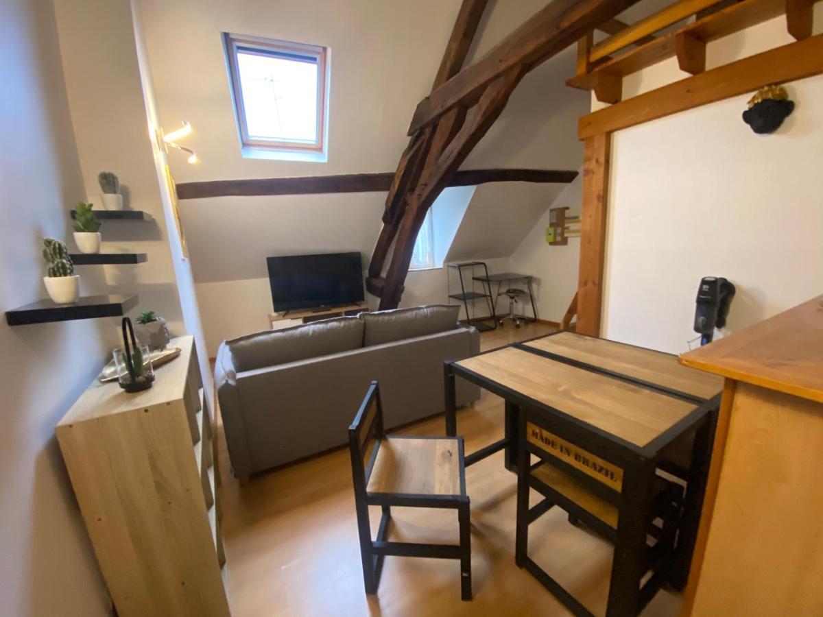 Le Puits Du Bourg Apartman Nevers Kültér fotó